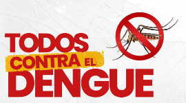 Medidas de prevención contra el Dengue